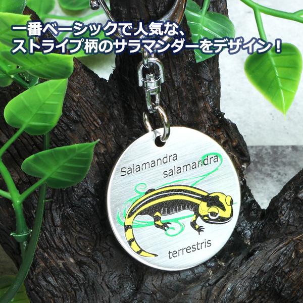 アンフィビアンズ　キータグ　フランスファイアーサラマンダー　/キーホルダー/両生類/有尾類/グッズ/雑貨/職人手作り/真鍮製/ |  | 01