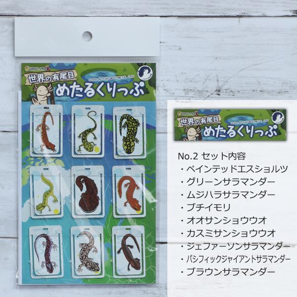 イモリブックマーク（ステンレス製）９個セット【No２】　/世界の有尾目/グッズ/サンショウウオ/クリップ/文房具/雑貨/優職人手作り/ |  | 02