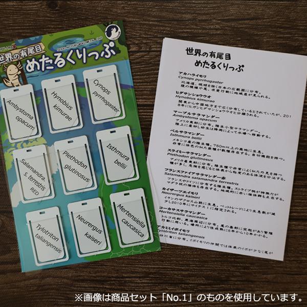 イモリブックマーク（ステンレス製）９個セット【No２】　/世界の有尾目/グッズ/サンショウウオ/クリップ/文房具/雑貨/優職人手作り/ |  | 04