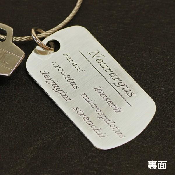 カイザーツエイモリ　銀　メタルタグ　/キーホルダー/ドックタグ/両生類爬虫類グッズ/有尾類/金属雑貨 |  | 01