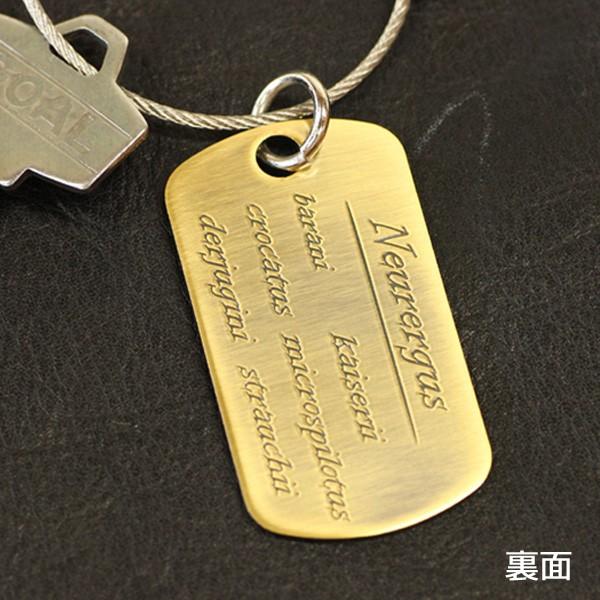 ストラウヒツエイモリ　真鍮　メタルタグ　/キーホルダー/ドックタグ/両生類爬虫類グッズ/有尾類/金属雑貨 |  | 01