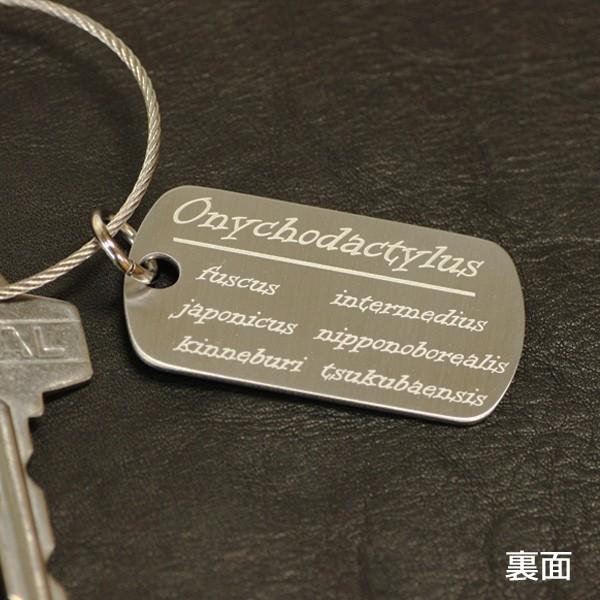 ハコネサンショウウオ　ST　メタルタグ　/キーホルダー/ドックタグ/両生類爬虫類グッズ/有尾類/金属雑貨 |  | 01