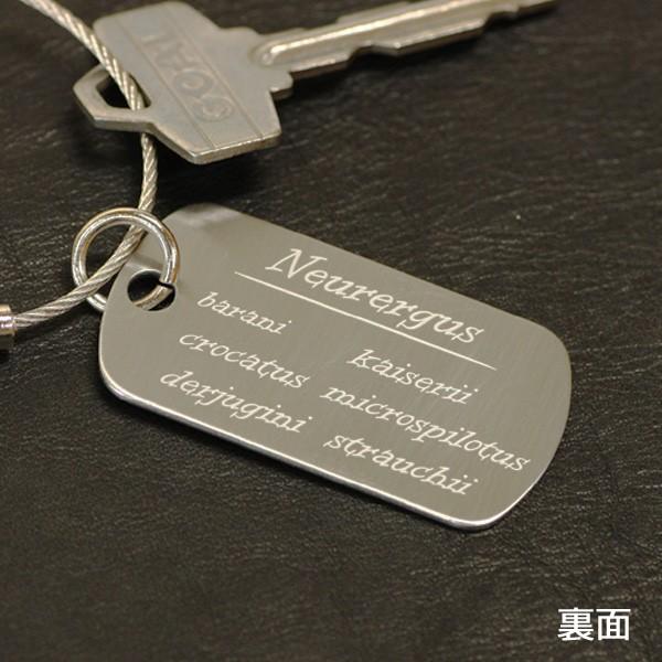 カイザーツエイモリ　ST　メタルタグ　/キーホルダー/ドックタグ/両生類爬虫類グッズ/有尾類/金属雑貨 |  | 01
