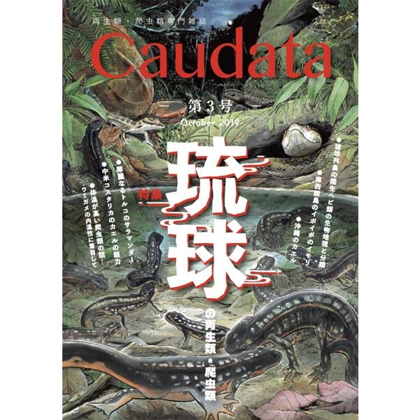 第3号　両生類・爬虫類専門雑誌『Caudata（カウダータ）』◆特集：琉球の両生類・爬虫類◆　【日時指定不可ネコポス便のみ、代金引換不可】 | 