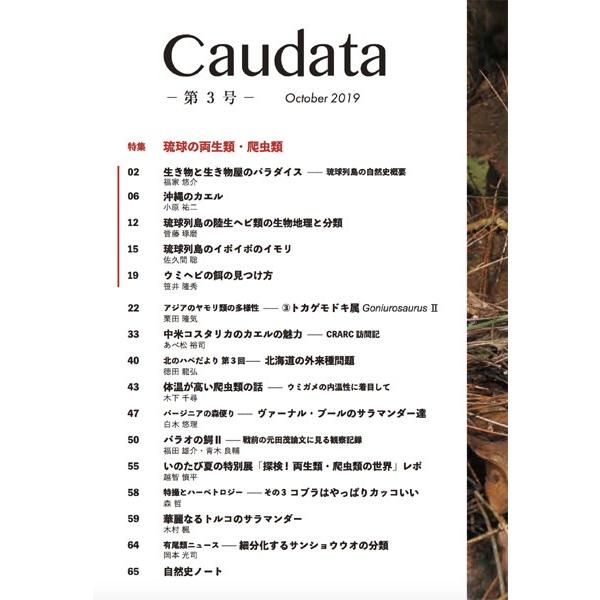 第3号　両生類・爬虫類専門雑誌『Caudata（カウダータ）』◆特集：琉球の両生類・爬虫類◆　【日時指定不可ネコポス便のみ、代金引換不可】 |  | 01