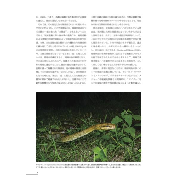 第3号　両生類・爬虫類専門雑誌『Caudata（カウダータ）』◆特集：琉球の両生類・爬虫類◆　【日時指定不可ネコポス便のみ、代金引換不可】 |  | 02