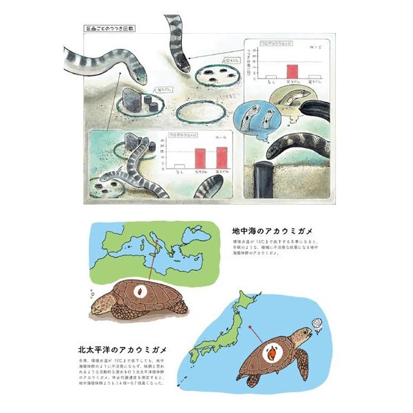 第3号　両生類・爬虫類専門雑誌『Caudata（カウダータ）』◆特集：琉球の両生類・爬虫類◆　【日時指定不可ネコポス便のみ、代金引換不可】 |  | 03