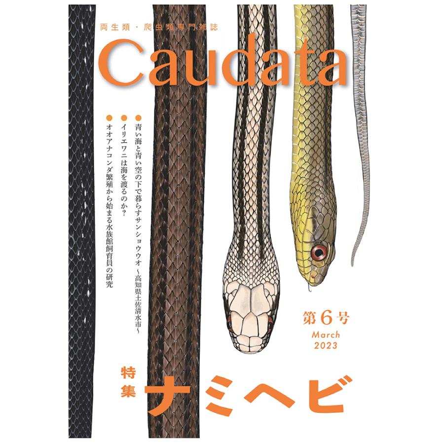 【在庫限りで終了】第6号　両生類・爬虫類専門雑誌『Caudata（カウダータ）』◆特集：ナミヘビ◆【日時指定不可ネコポス便のみ、代金引換不可】 | 