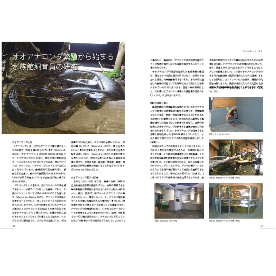 【在庫限りで終了】第6号　両生類・爬虫類専門雑誌『Caudata（カウダータ）』◆特集：ナミヘビ◆【日時指定不可ネコポス便のみ、代金引換不可】 |  | 05