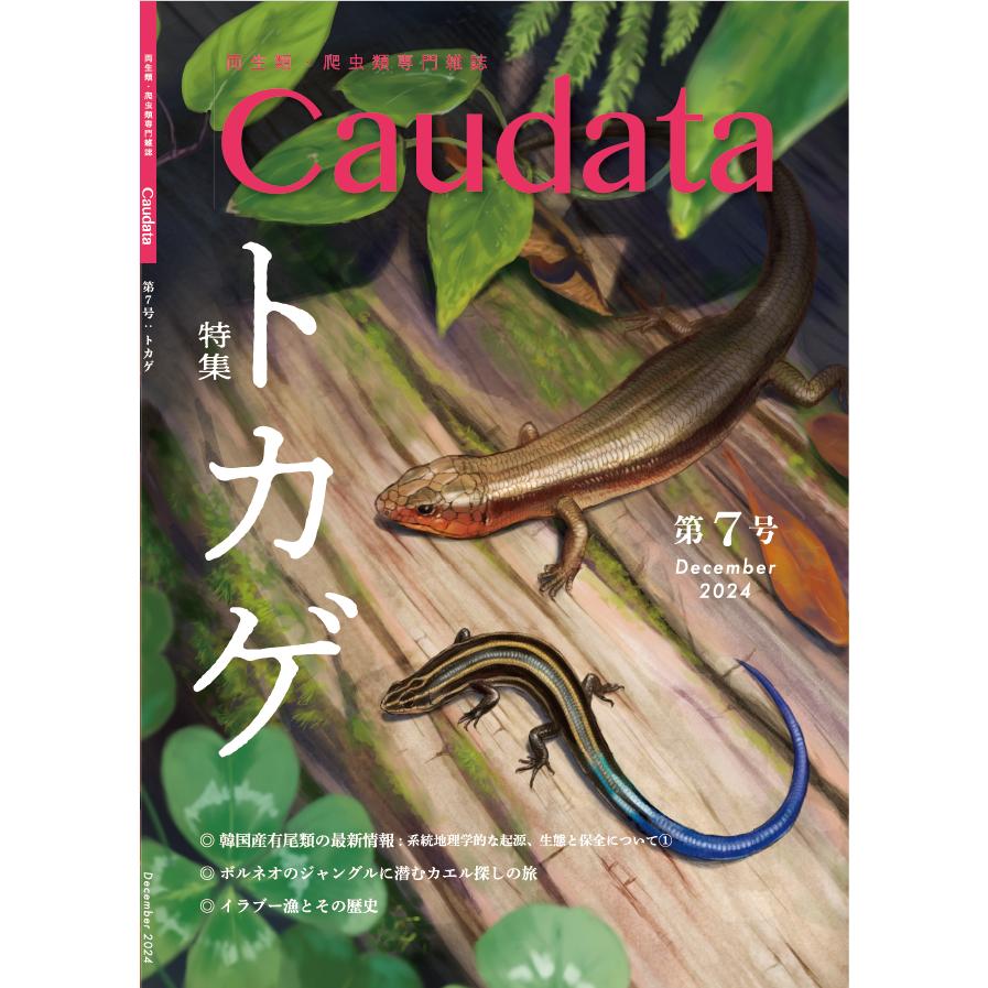 第7号 両生類・爬虫類専門雑誌 Caudata(カウダータ) 特集 第7号 両生類・爬虫類専門雑誌 Caudata(カウダータ) 特集