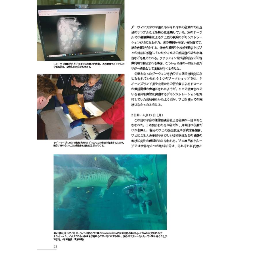 クリーパー 6冊 爬虫・両生類情報誌 創刊3号No.6・8・11・20・22 第三の両爬雑誌誕生！！ UNIQUE ANIMAL創刊！！ [爬虫類・両生類