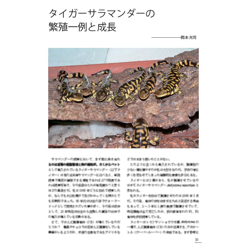 第8号 両生類・爬虫類専門雑誌 Caudata（カウダータ） 特集：小型