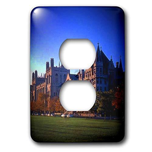 3drose LSP 26371?_ 6シカゴ大学2プラグコンセントカバー 平行輸入 平行輸入