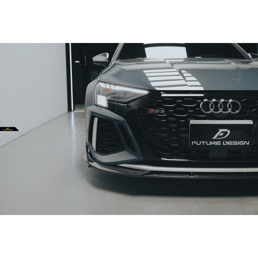 FUTURE DESIGN 正規品】AUDI RS3 SportBack スポーツバック 8Y