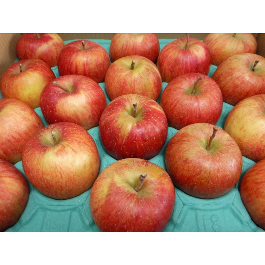 ☆りんご☆葉とらずサンふじ☆糖度14度以上☆15kg大玉中玉☆訳あり虫害