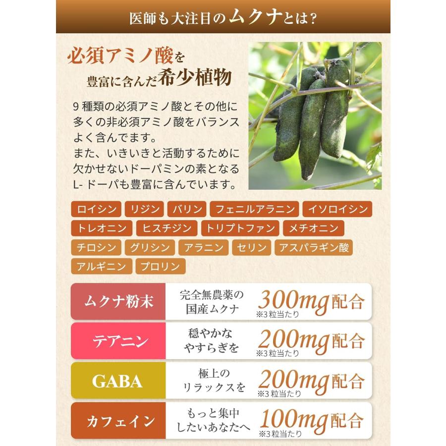 医師監修 集中力 やる気 サプリ 国産無農薬ムクナ 1袋9000mg 30日分 90粒 1日3粒 テアニン GABA カフェイン DHA EPA ブレインダイレクト 国内製造 |  | 03