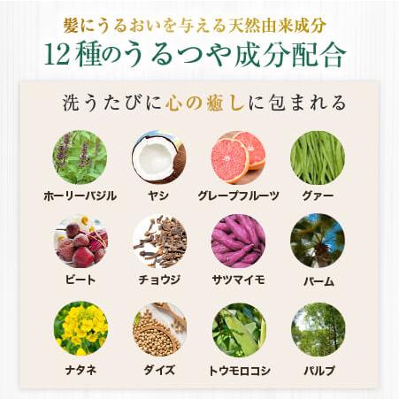 コンディショナー 400ml ヘアケア リペア オーガニック 天然由来 しっとり高保湿 ホーリーボタニカル　2個セット |  | 13