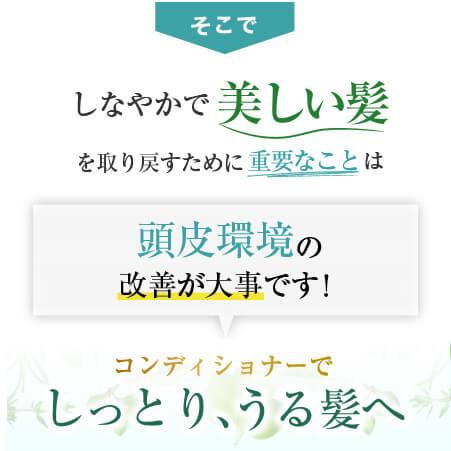 コンディショナー 400ml ヘアケア リペア オーガニック 天然由来 しっとり高保湿 ホーリーボタニカル　2個セット |  | 05