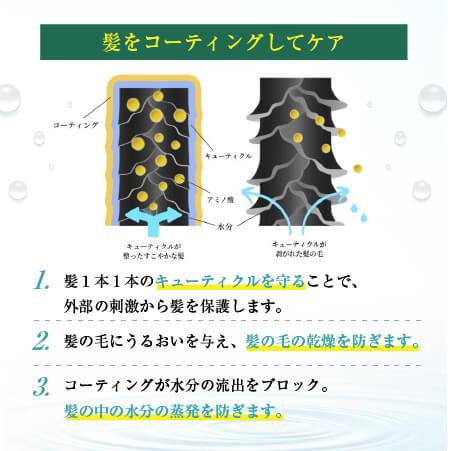 コンディショナー 400ml ヘアケア リペア オーガニック 天然由来 しっとり高保湿 ホーリーボタニカル　2個セット |  | 06