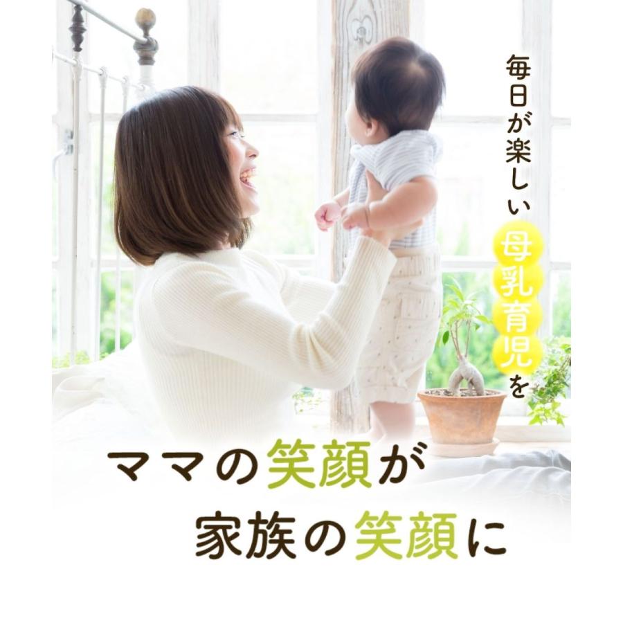たんぽぽ茶 2g×30包 (お得な2袋セット) たんぽぽ 茶 タンポポ茶
