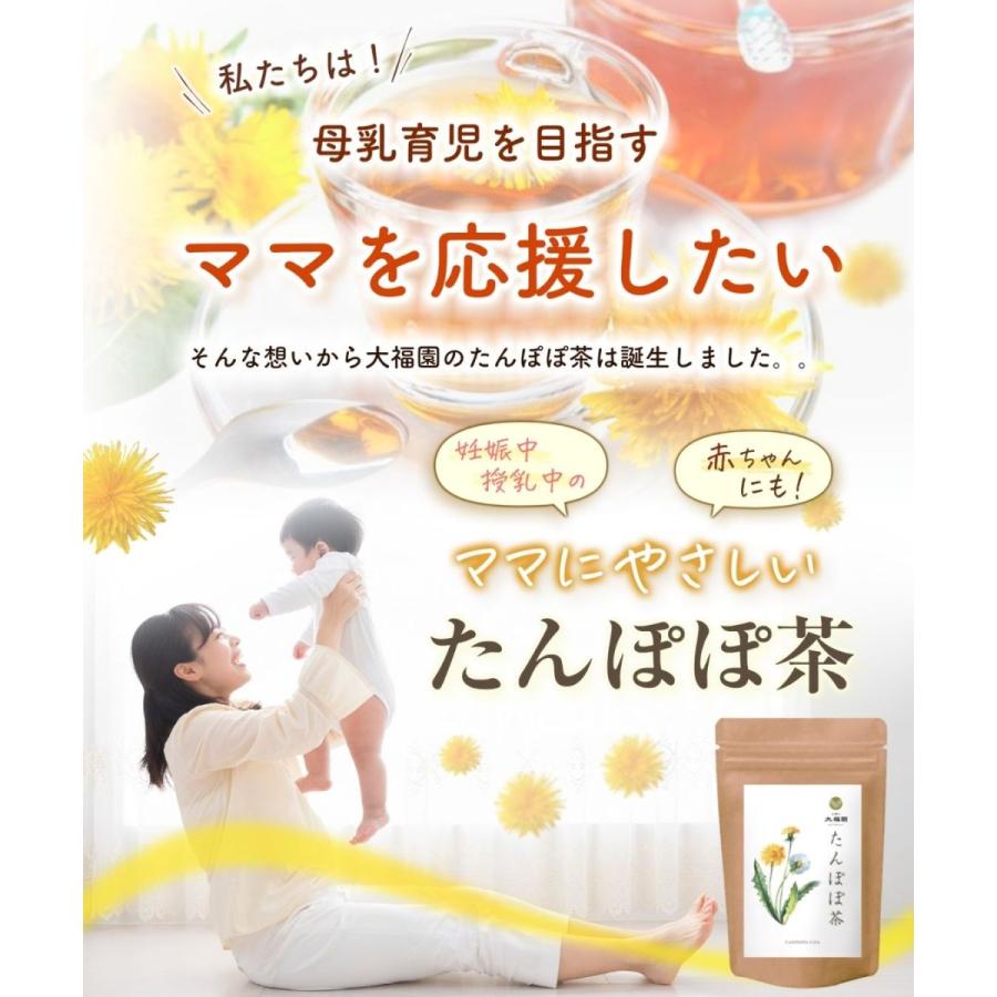 たんぽぽ茶 2g×30包 (お得な2袋セット) たんぽぽ 茶 タンポポ茶
