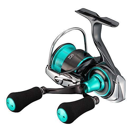 ダイワ 21 エメラルダス エア LT2500-DH 