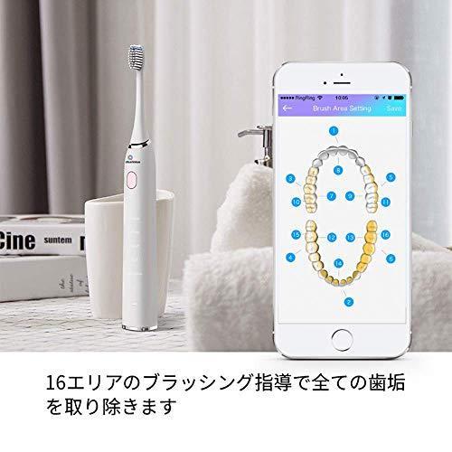 InfinitusValue インフィニタスバリュー アプリ連動 スマートトラッキング電動歯ブラシ 超音波ブラシ 歯垢除去 ブラック IVHB01B 