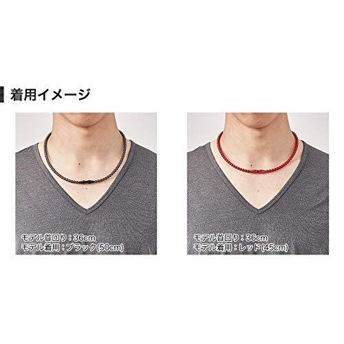 ファイテン(phiten) ネックレス RAKUWAネック EXTREME