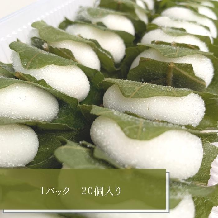 徳用 柏もち 20個入 冷凍 季節限定 かしわもち かしわ餅 和菓子 子供の