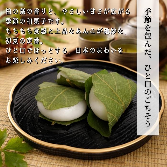 徳用 柏もち 20個入 冷凍 季節限定 かしわもち かしわ餅 和菓子 子供の