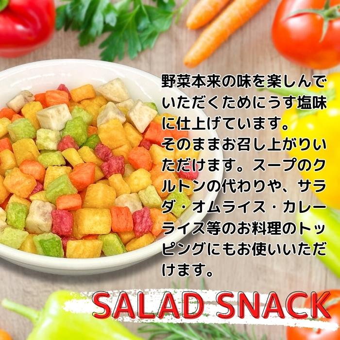 サラダすなっく 500g 常温 5種の野菜スナック 無着色 天然色 クルトン