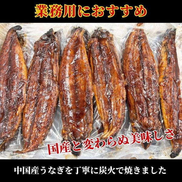 うなぎ蒲焼 50尾入 10Kg 炭火焼 冷凍 業務用 有頭腹開鰻蒲焼 まとめて