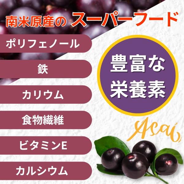 アサイーピューレ 加糖 冷凍 500g トロピカルマリア 100gx5個入 アサイーピューレ 加糖 冷凍 500g トロピカルマリア 100gx5個入