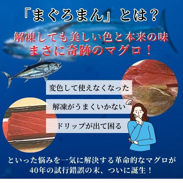 革命マグロ まぐろまん 天然キハダマグロ 1Kg 冷凍 刺身用鮪 革命マグロ まぐろまん 天然キハダマグロ 1Kg 冷凍 刺身用鮪