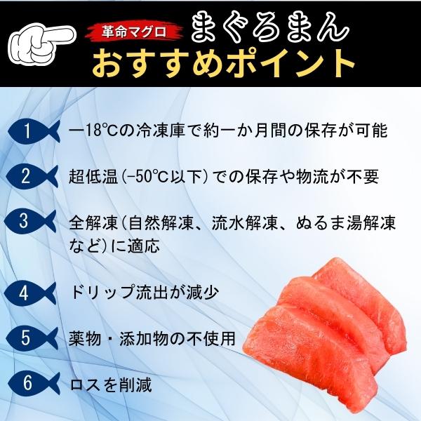 革命マグロ まぐろまん 天然キハダマグロ 1Kg 冷凍 刺身用鮪 革命マグロ まぐろまん 天然キハダマグロ 1Kg 冷凍 刺身用鮪