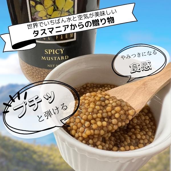 ヒルファーム スパイシーマスタード 500g タスマニア産 常温 業務用