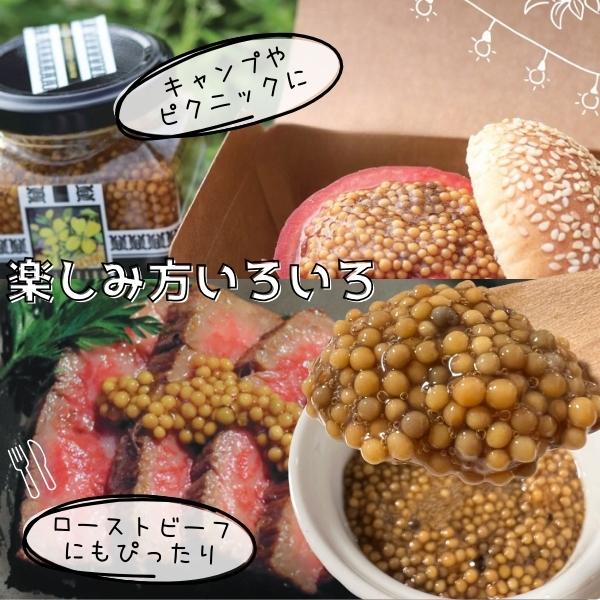 ヒルファーム スパイシーマスタード 500g タスマニア産 常温 業務用