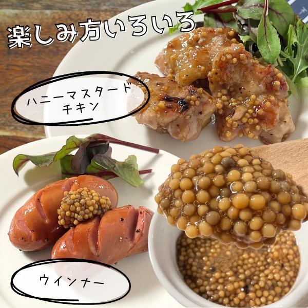 ヒルファーム スパイシーマスタード 500g タスマニア産 常温 業務用