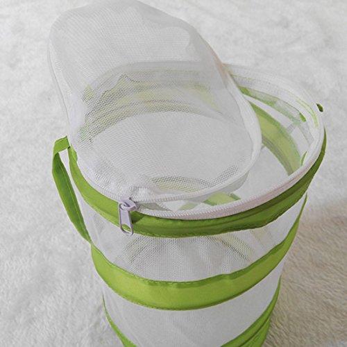 Sale 79 Off Yifan 昆虫ケージ メッシュ カマキリ 蝶 爬虫類 飼育ケース 高通気性ネット ホワイト グリーン Sサイズ Www 51 Fr