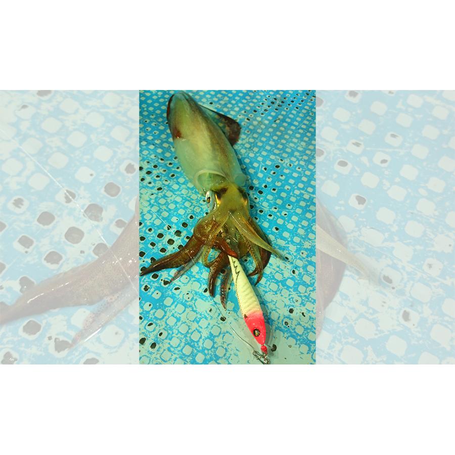 デュエル イージーベイトメタル 20号 25号 30号 11個セット