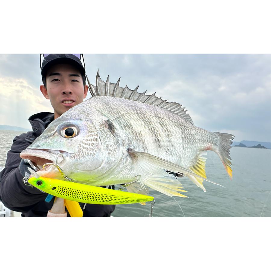 HARDCORE ハードコア R9 90mm F1283 フローティング ミノー ウェイト