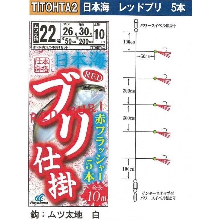 日本海ブリ仕掛け 釣り具 ハヤブサ 数量限定 サビキ仕掛け 日本海 レッドブリ 赤フラッシャー 5本 22-26号 Hayabusa サビキ仕掛け 釣具 釣具小物｜mg-fishing｜02