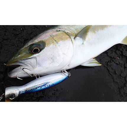 青物プラグ　ハードルアーセット 6点 DUEL（デュエル） ルアー ルアー釣り 仕掛け ハードコア バレットブル