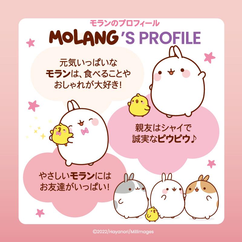 ぬいぐるみ ピウピウ ｍサイズ もちもち ぬいぐるみ Molang モラン 361 550 マザーガーデン 通販 Yahoo ショッピング