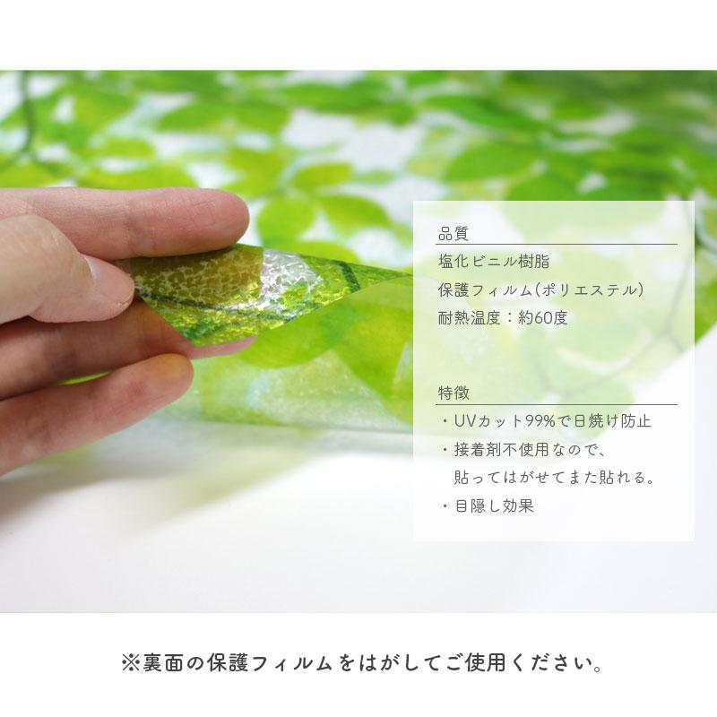 窓ガラス 目隠し シート ガラスフィルム 窓 フィルム 装飾 DIY UVカット99％ 貼ってはがせる 窓飾りシート GER-9235 グリーン 92cmx15m リーフ柄 4977932106390の画像