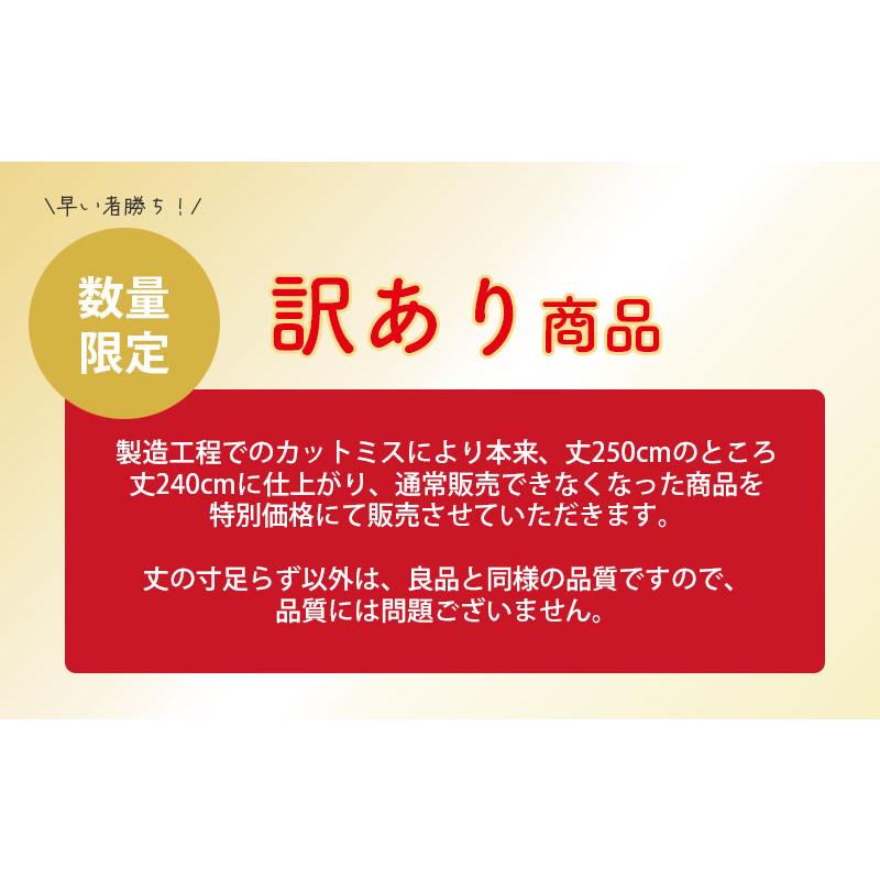 明和グラビア 間仕切り のれん 保温 暖簾 透明 間仕切りカーテン LMP 