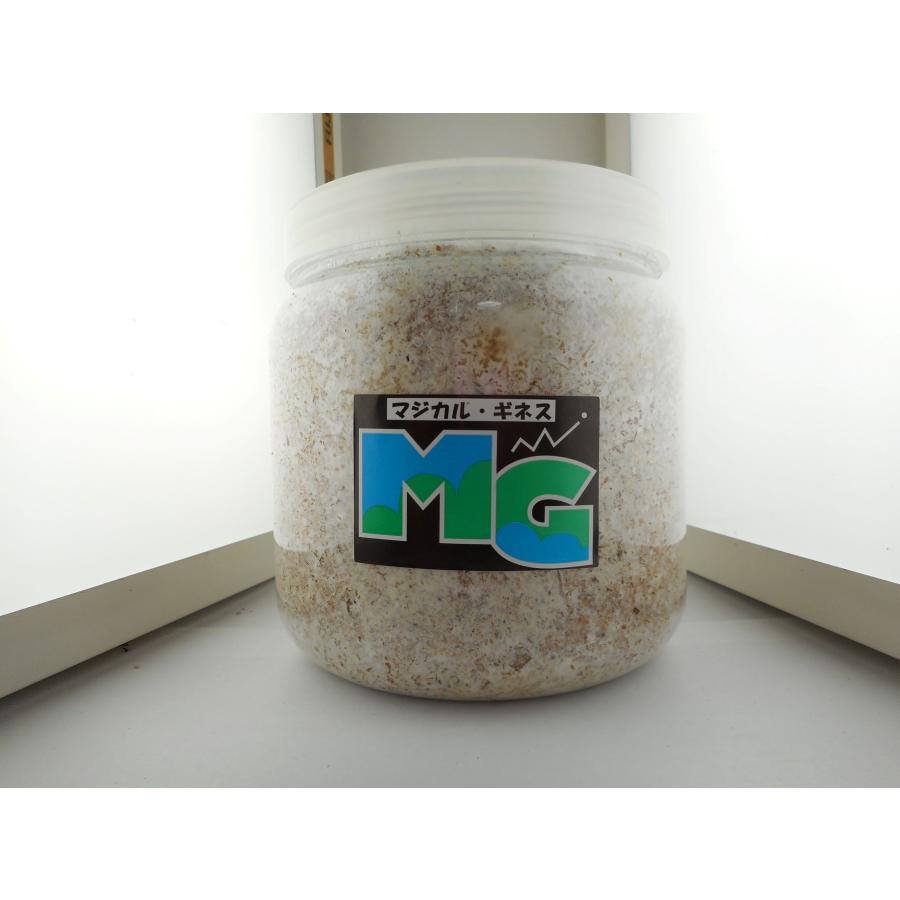 マジカルギネス1400エノキ・クリアボトル | 