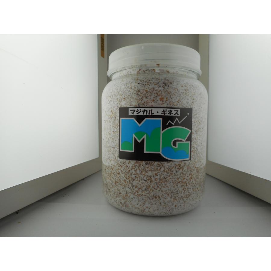 マジカルギネス800エノキ・クリアボトル | 