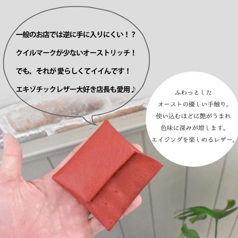 オーストリッチ コインケース メンズ レディース 本革 小銭入れ ダチョウ 本皮 小物入れ 駝鳥  プレゼント 黄色 緑 プレゼント 財布 | MGSABLE | 02