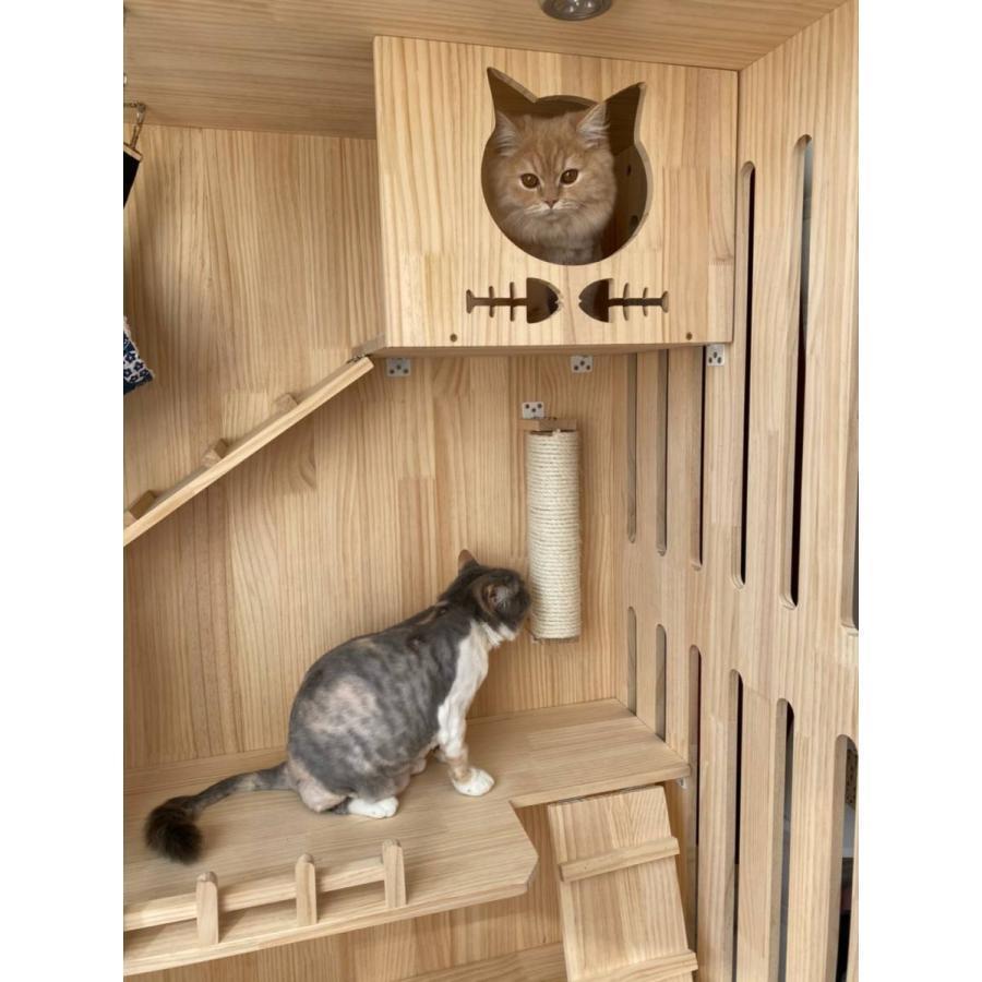 【２点セット】 ペットハウス キャットタワー 猫ハウス 猫用 大型猫 ネコタワー動物ハウス【猫の部屋】透明なドア 別荘 猫キャビネット 転倒防止 二つドア 【1544843571】(55193円)